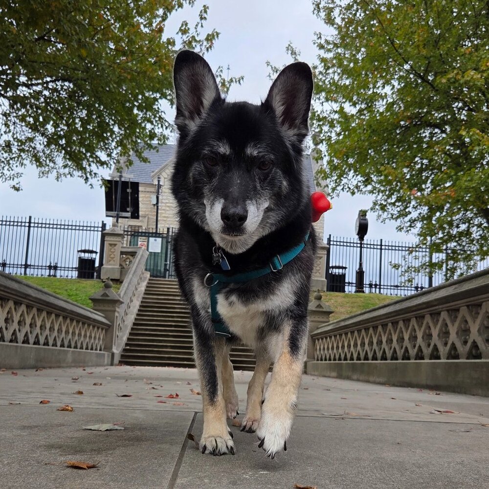 Meet your Posher, Michelle =)